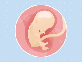 pregnancy week12 temporary pregnancy week12 temporary