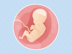 pregnancy week21 temporary pregnancy week21 temporary