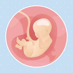 pregnancy week22 temporary