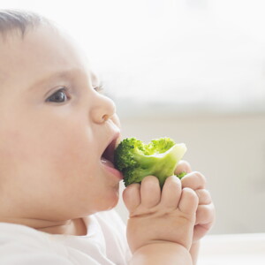 Toddler meals ideas